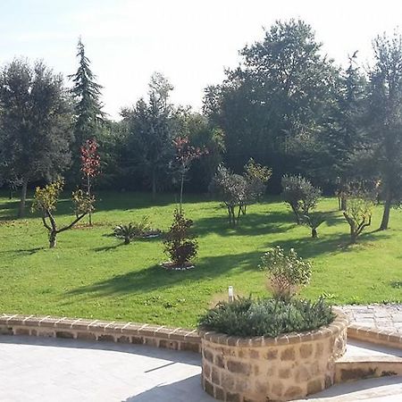 Tenuta Terra Tefra Villa Conca della Campania Exterior photo